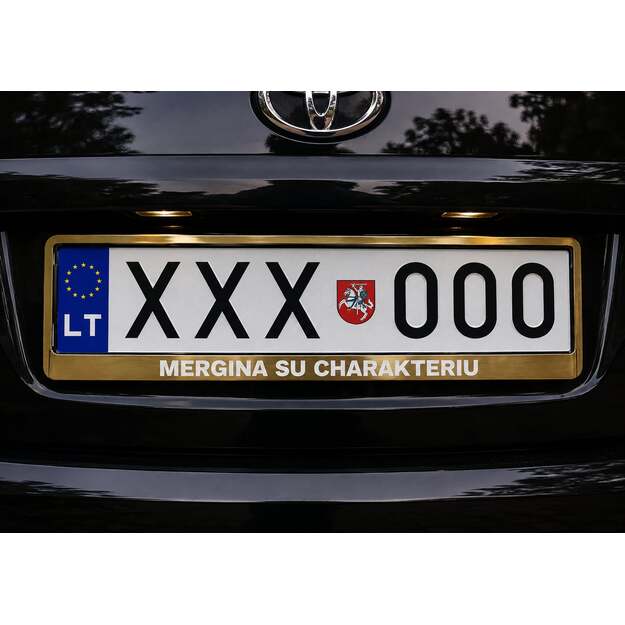Spalvotas automobilio numerių rėmelis MERGINA SU CHARAKTERIU